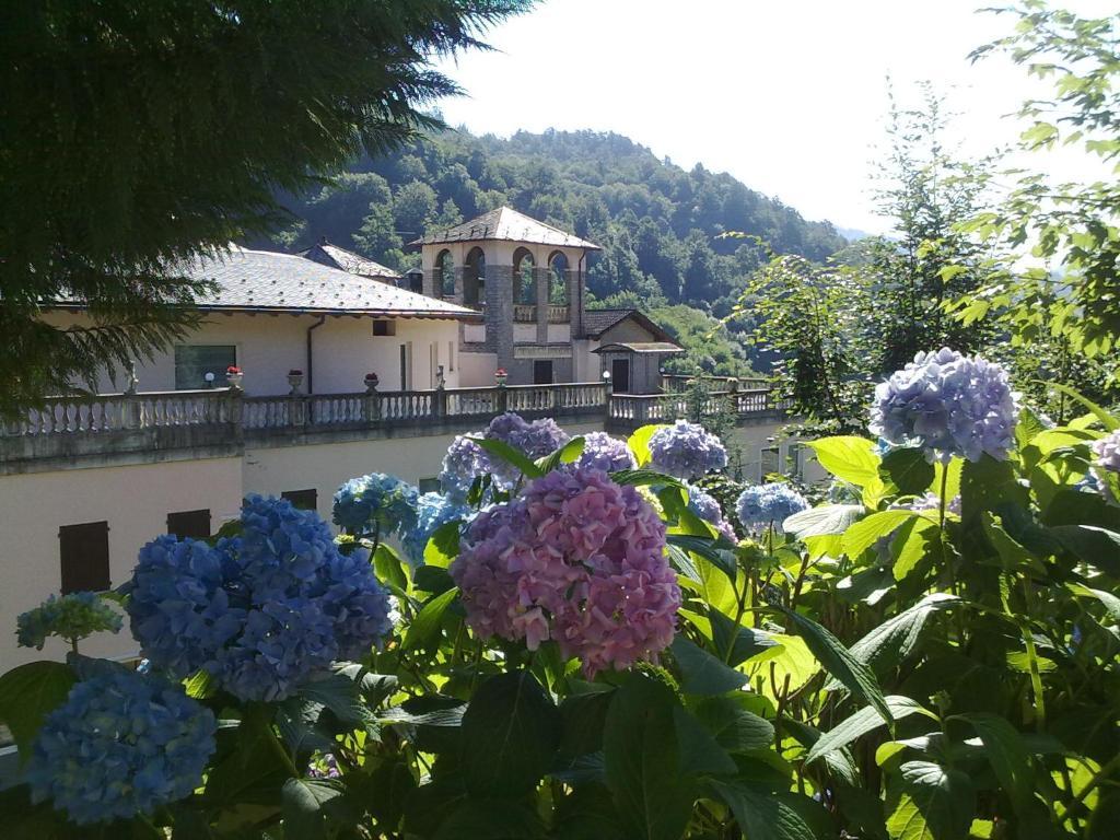 Hotel Villa Delle Ortensie Sant'Omobono Imagna Εξωτερικό φωτογραφία